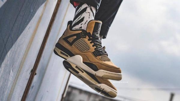 Pánské Boty Nike Air Jordan 4 Mushroom Hnědé