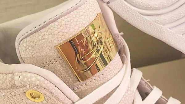 Boty Nike Air Jordan 1 Pinnacle Pro Muže Bílé