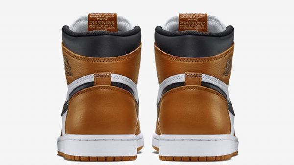 Pánské Boty Nike Air Jordan 1 Reverse Shatteredboard Hnědobílé