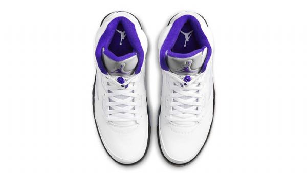 Boty Nike Air Jordan 5 Concord Pro Muže Stříbrné