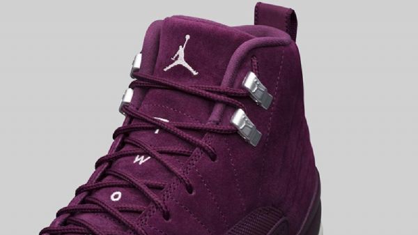 Boty Nike Air Jordan 12 Pro Muže Vínové