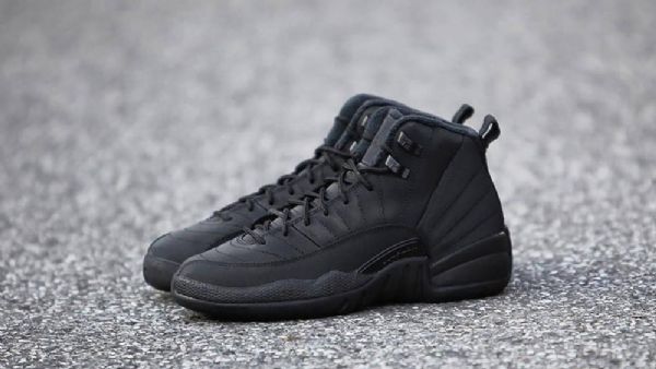 Boty Nike Air Jordan 12 Winterized Pro Muže Černé