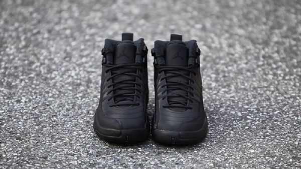 Boty Nike Air Jordan 12 Winterized Pro Muže Černé