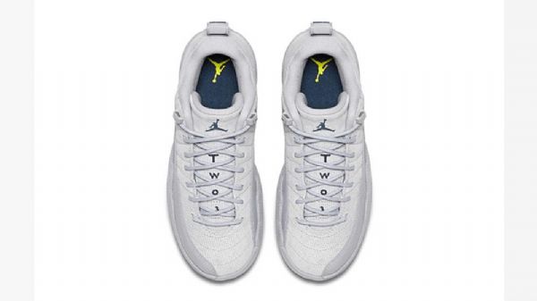Nízké Semišové Kožené Boty Nike Air Jordan 12 Pro Muže Šedé