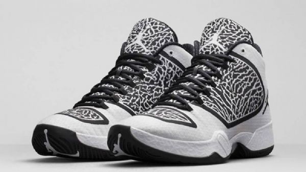 Boty Nike Air Jordan Xx9 Pro Muže Bílé