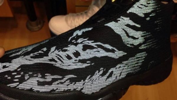 Pánské Boty Nike Air Jordan Future Tiger Hnědé