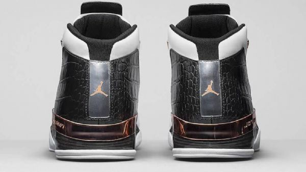 Boty Nike Air Jordan 17 Copper Pro Muže Černá Bílý